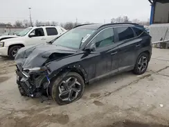 KM8JCCD13RU206141 2024 HYUNDAI TUCSON