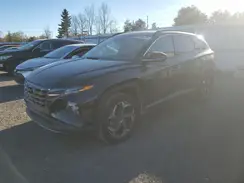 KM8JCCD13RU208407 2024 HYUNDAI TUCSON
