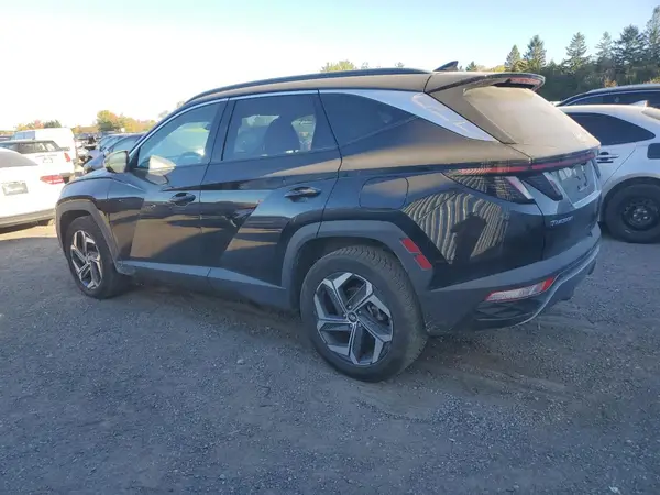 KM8JCCD13RU208407 2024 HYUNDAI TUCSON - Image 2