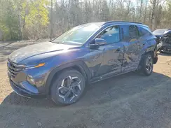 KM8JCCD13RU209525 2024 HYUNDAI TUCSON