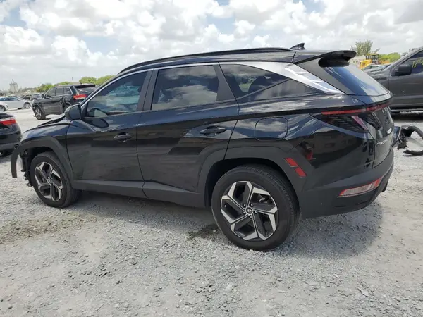 KM8JCCD14RU156561 2024 HYUNDAI TUCSON - Image 2