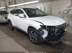 KM8JCCD14RU168029 2024 HYUNDAI TUCSON