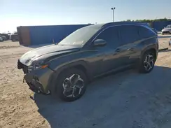 KM8JCCD14RU203703 2024 HYUNDAI TUCSON