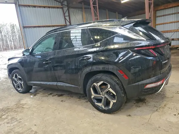 KM8JCCD14RU208321 2024 HYUNDAI TUCSON - Image 2