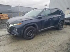 KM8JCCD14RU223241 2024 HYUNDAI TUCSON