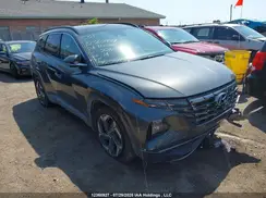 KM8JCCD14RU228570 2024 HYUNDAI TUCSON