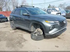 KM8JCCD14RU231503 2024 HYUNDAI TUCSON