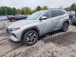KM8JCCD14RU239486 2024 HYUNDAI TUCSON