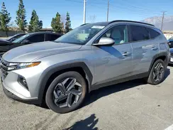 KM8JCCD16RU198603 2024 HYUNDAI TUCSON