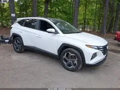 KM8JCCD17RU159017 2024 HYUNDAI TUCSON