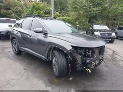 KM8JCCD17RU185519 2024 HYUNDAI TUCSON