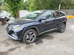 KM8JCCD18RU179311 2024 HYUNDAI TUCSON