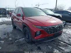 KM8JCCD18RU209634 2024 HYUNDAI TUCSON
