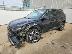 KM8JCCD19RU181617 2024 HYUNDAI TUCSON