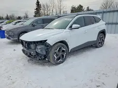 KM8JCCD19RU181732 2024 HYUNDAI TUCSON