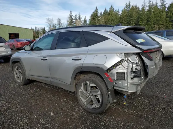 KM8JCCD19RU191435 2024 HYUNDAI TUCSON - Image 2