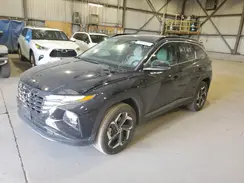 KM8JCCD19RU199215 2024 HYUNDAI TUCSON