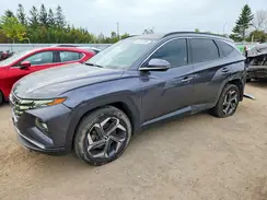 KM8JCCD1XRU137013 2024 HYUNDAI TUCSON