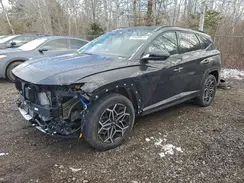 KM8JCCD1XRU156497 2024 HYUNDAI TUCSON