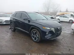 KM8JCCD1XRU167211 2024 HYUNDAI TUCSON