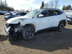 KM8JCCD1XRU169637 2024 HYUNDAI TUCSON