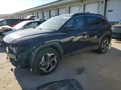 KM8JCCD1XRU184817 2024 HYUNDAI TUCSON