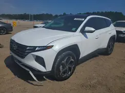 KM8JCCD1XRU206380 2024 HYUNDAI TUCSON