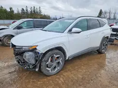 KM8JCCD1XRU233188 2024 HYUNDAI TUCSON