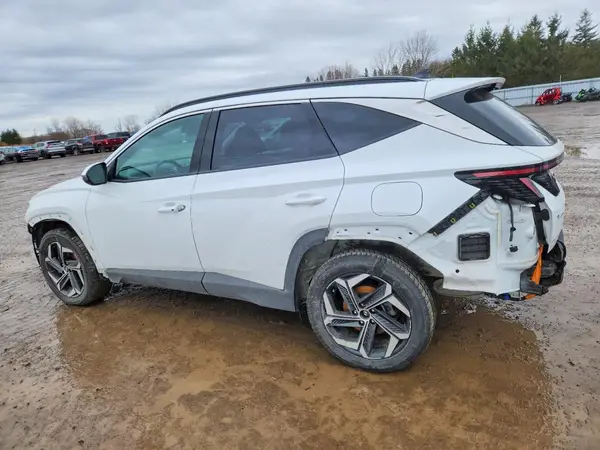 KM8JCCD1XRU233188 2024 HYUNDAI TUCSON - Image 2