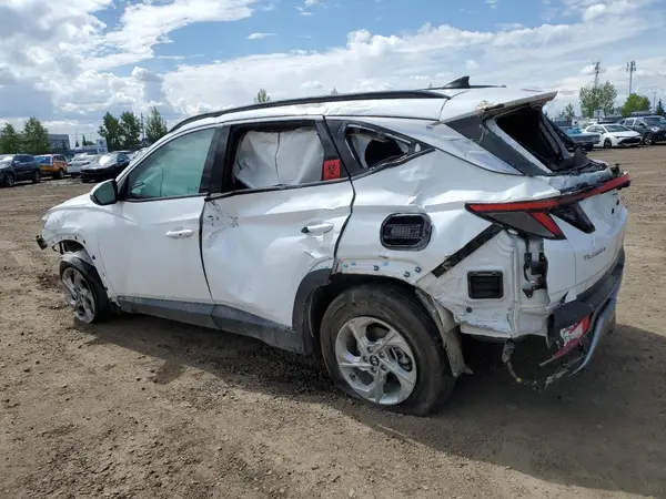 KM8JCCDE0RU313599 2024 HYUNDAI TUCSON - Image 2