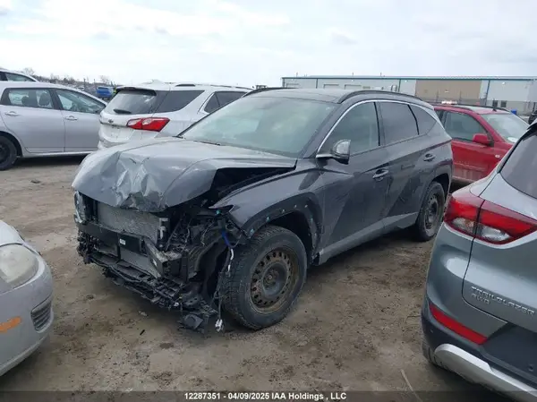 KM8JCCDE1RU343436 2024 HYUNDAI TUCSON - Image 2
