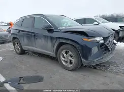 KM8JCCDE2RU317282 2024 HYUNDAI TUCSON
