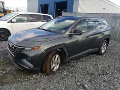 KM8JCCDE3RU265161 2024 HYUNDAI TUCSON