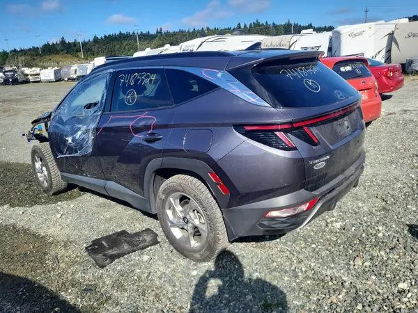 KM8JCCDE3RU316710 2024 HYUNDAI TUCSON - Image 2