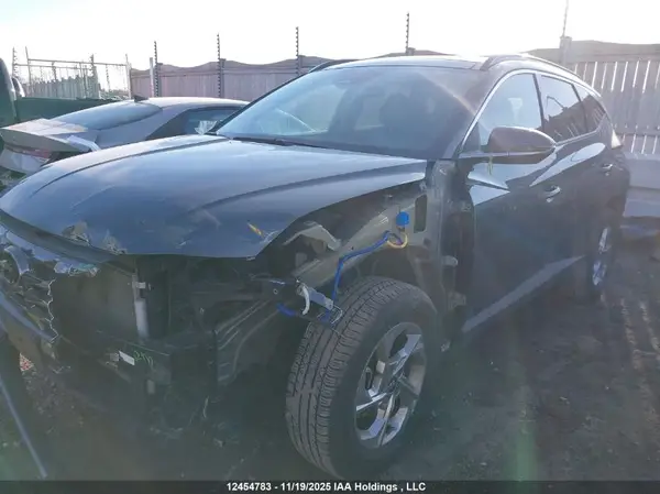 KM8JCCDE4RU307076 2024 HYUNDAI TUCSON - Image 2