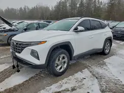 KM8JCCDE4RU333354 2024 HYUNDAI TUCSON