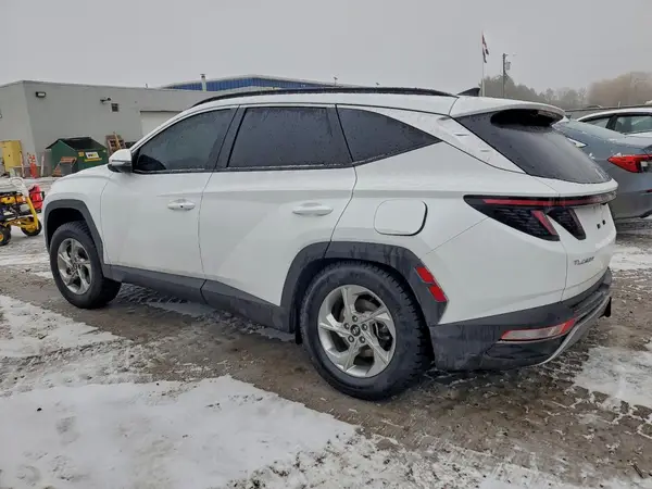KM8JCCDE4RU333354 2024 HYUNDAI TUCSON - Image 2