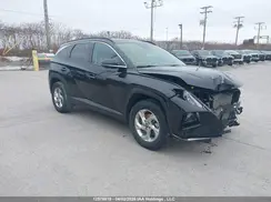 KM8JCCDE4RU338988 2024 HYUNDAI TUCSON