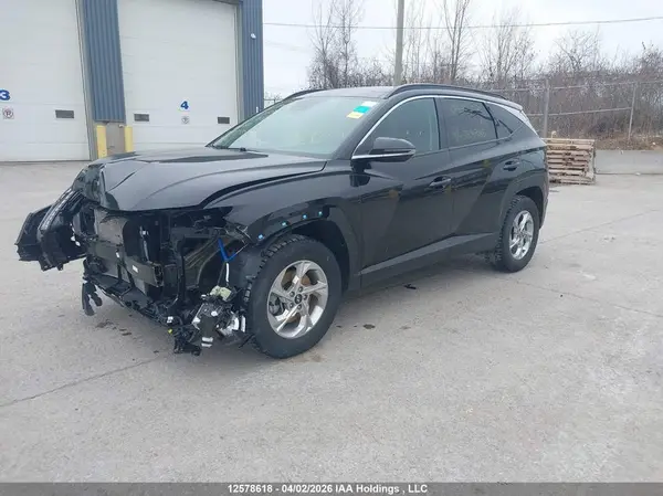 KM8JCCDE4RU338988 2024 HYUNDAI TUCSON - Image 2