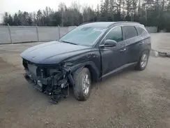 KM8JCCDE5RU279644 2024 HYUNDAI TUCSON