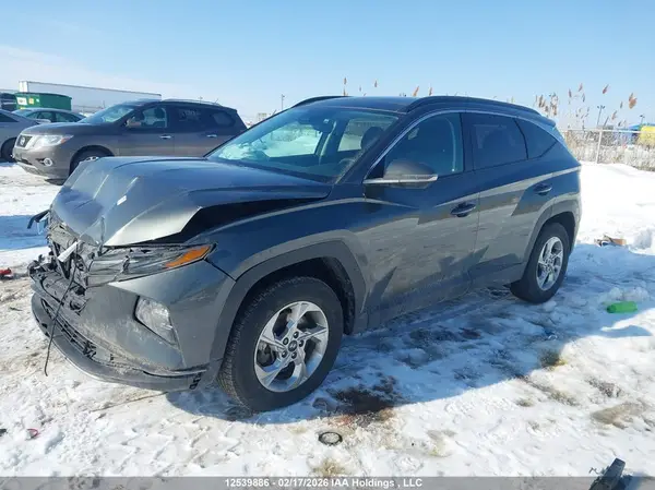 KM8JCCDE5RU322668 2024 HYUNDAI TUCSON - Image 2