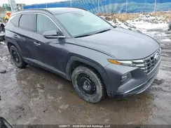 KM8JCCDE6RU338779 2024 HYUNDAI TUCSON