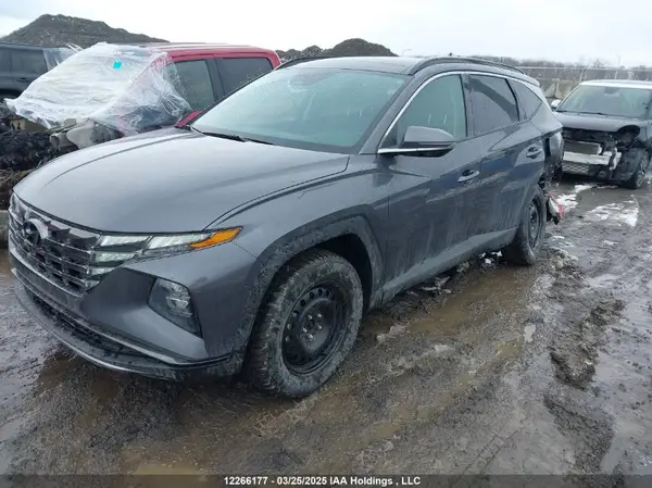 KM8JCCDE6RU338779 2024 HYUNDAI TUCSON - Image 2