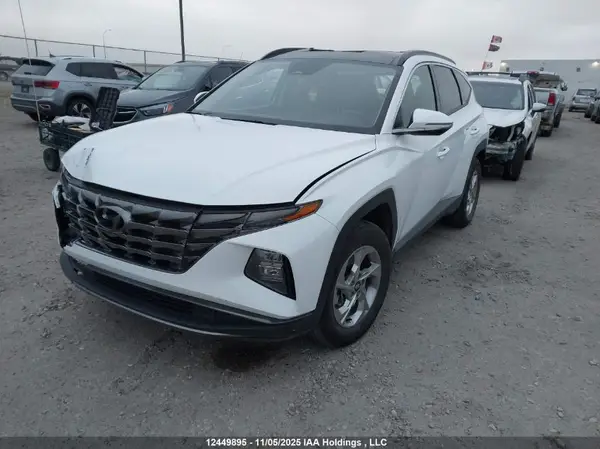 KM8JCCDE6RU353671 2024 HYUNDAI TUCSON - Image 2