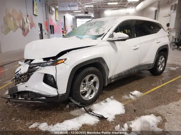 KM8JCCDE8RU330165 2024 HYUNDAI TUCSON - Image 2