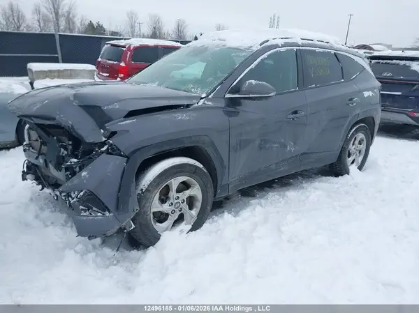 KM8JCCDE8RU338492 2024 HYUNDAI TUCSON - Image 2