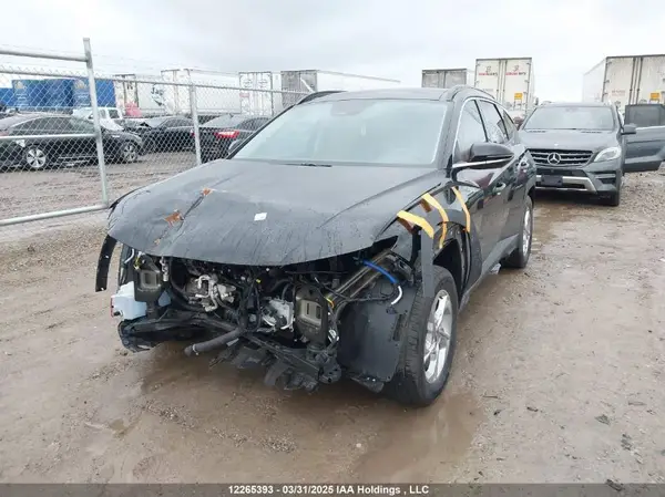 KM8JCCDE9RU305825 2024 HYUNDAI TUCSON - Image 2