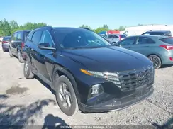 KM8JCCDE9RU339165 2024 HYUNDAI TUCSON