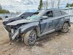 KM8JCDD10TU426561 2026 HYUNDAI TUCSON