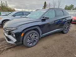 KM8JCDD11SU256077 2025 HYUNDAI TUCSON